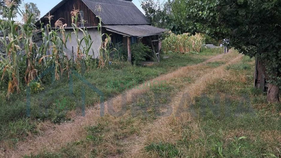 Domeniu de 7.500 mp cu casă bătrânească, anexe, livadă și iaz în Stolniceni-Prăjescu, Iași - Poză 4
