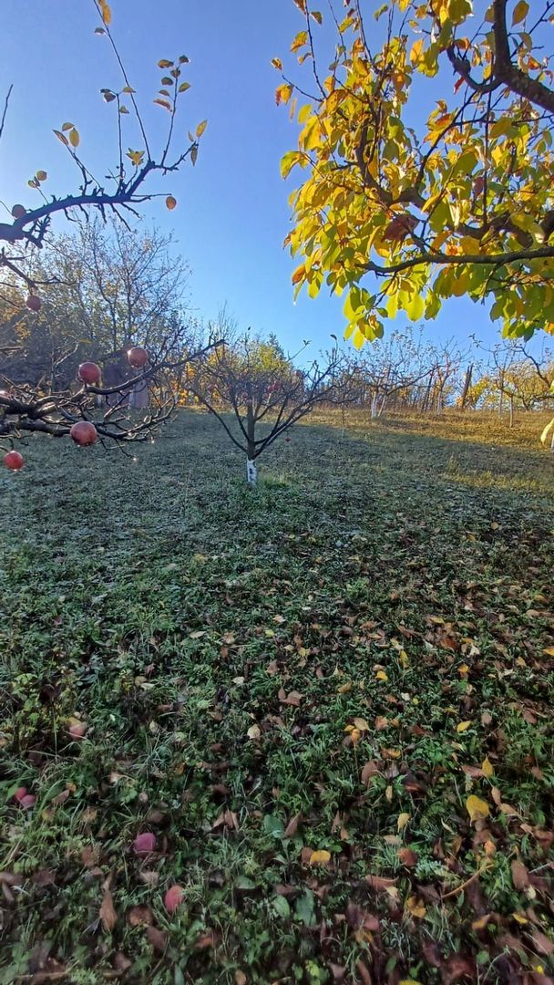 Teren intravilan 3000 mp - Corunca - Poză 9