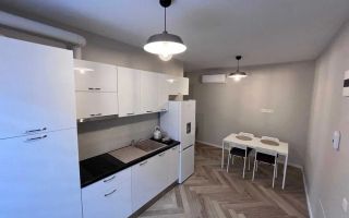 1 camera, Modern, Parcare, Fsega, Iulius Mall, Zona Intre Lacuri - Poză 3