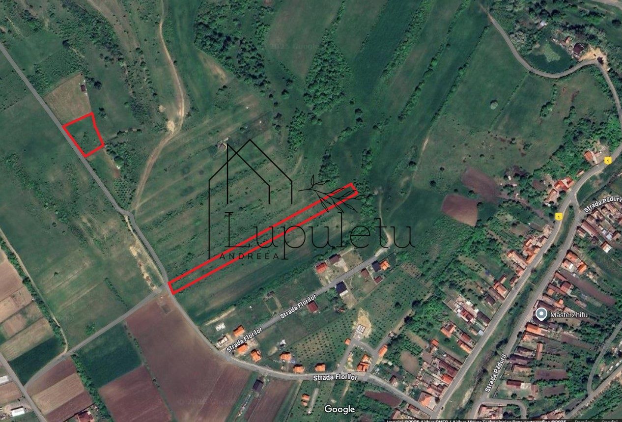 Teren Extravilan de Vânzare – 2.500 mp | Hamba | Zonă în Dezvoltare - Poză 3