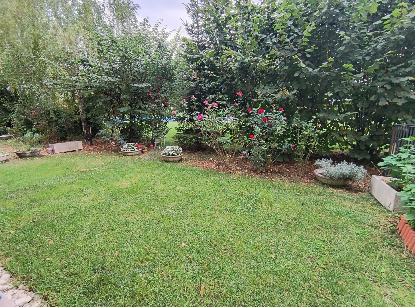 NOU! Pipera-Scoala Americana-Ibiza Sol-piscina - Poză 3