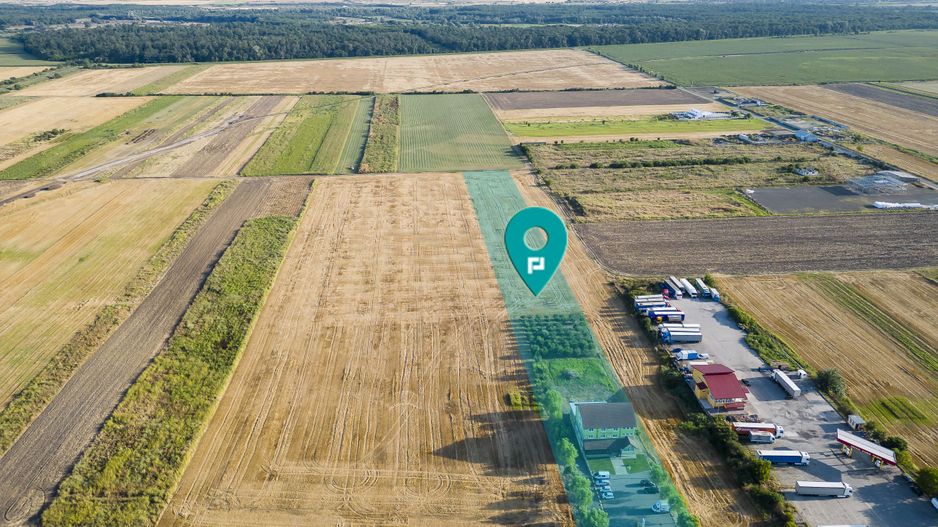 Pensiune in Arad (Vladimirescu) pe DN7 - Poză 2