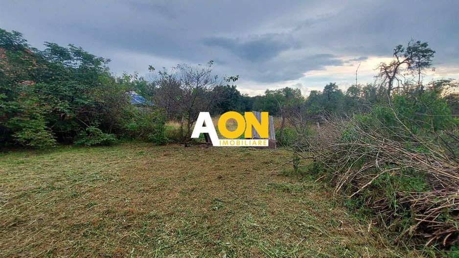 Casa Ciugud Toate Utilitatile cu Teren 3000MP - Poză 3