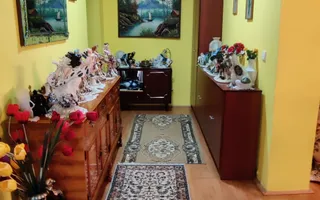CASA INDIVIDUALA SI HALA CU TEREN  4000 MP - Poză 25