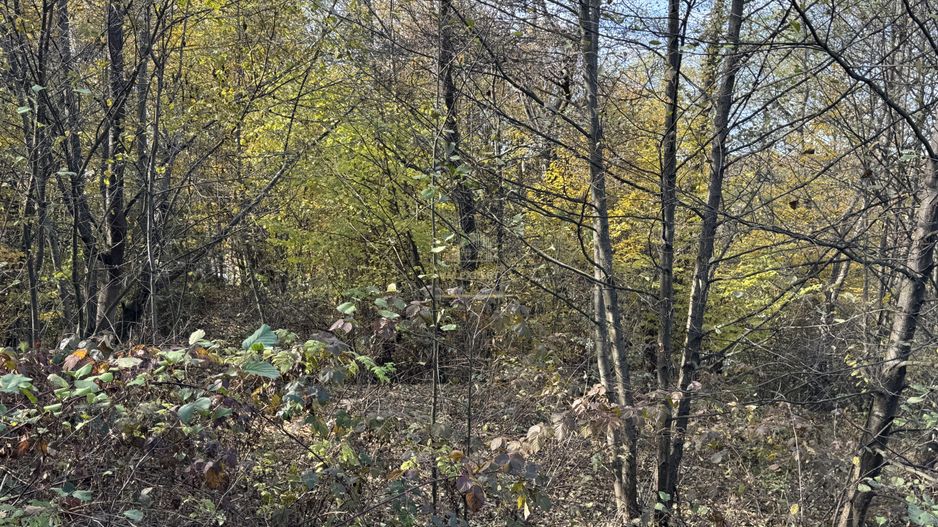 TEREN INTRAVILAN 13167 MP BUGHEA DE SUS ARGES - Poză 33