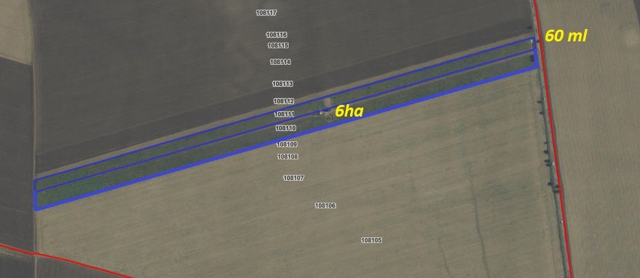 Teren de vanzare in Săcele ideal pentru silozuri, fermă 6 ha - Poză 11
