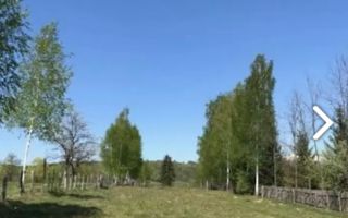 TEREN INTRAVILAN 3000 MP, GRUI, CAMPULUNG - Poză 2