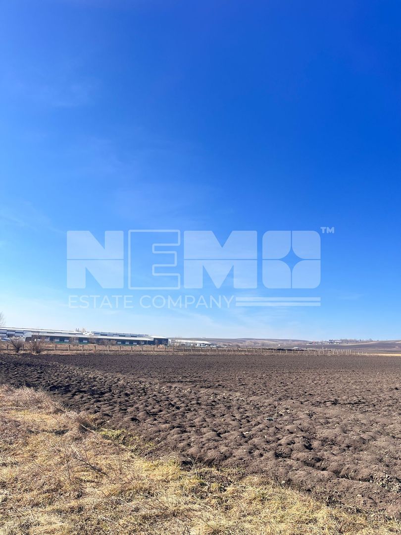 Vanzare I Teren I Suceava/Stroiesti I 100 ARI 2999 Euro/Ar - Poză 11