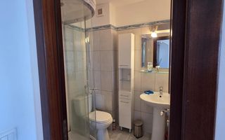 Garsonieră spațioasă Ozana, parcare, centrală proprie, balcon, pet friendly - Poză 9