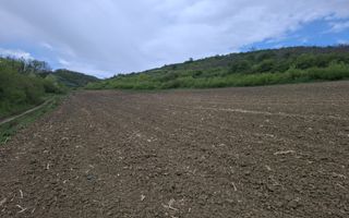 Teren extravilan arabil - Sibiu - Gusterland - Poză 1