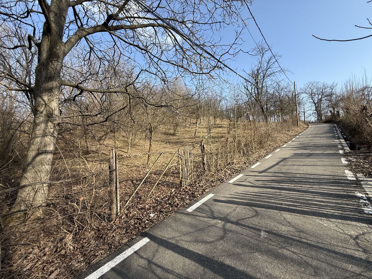 Teren intravilan 2788 mp deschidere 55 ml cu vedere panoramica ! - Poză 12