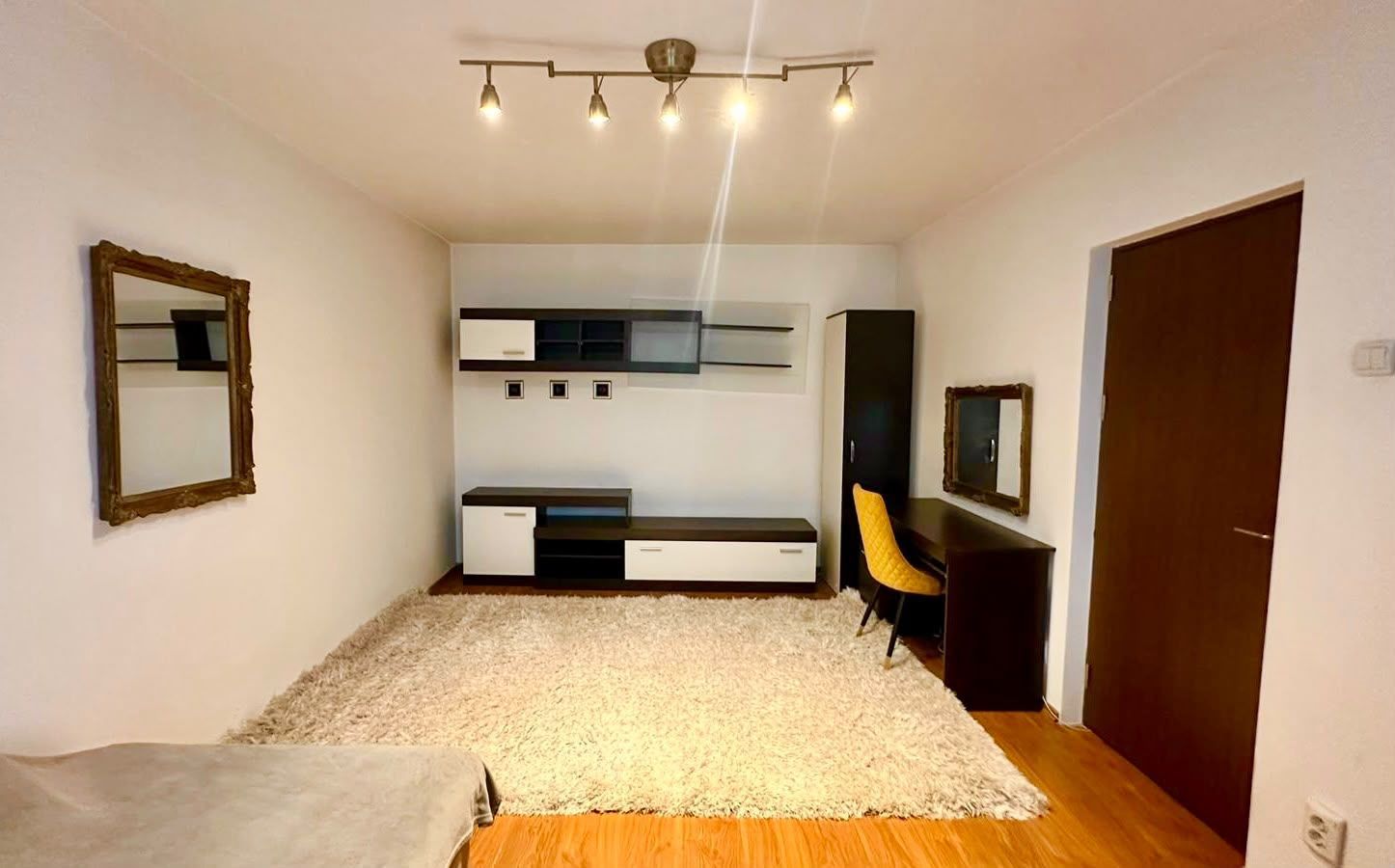 Apartament 2 camere Tineretului vis a vis de parc - Poză 5