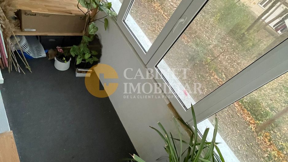 2 camere ideal pentru investitii zona Alexandru cel Bun-Pta Alexandru - Poză 6