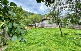 Casa cu teren de 5879 mp cu padure, Moeciu de Jos - Poză 7