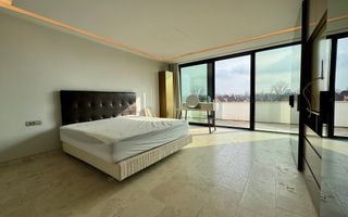 Resedinta de lux / *Kiseleff* - Poză 16