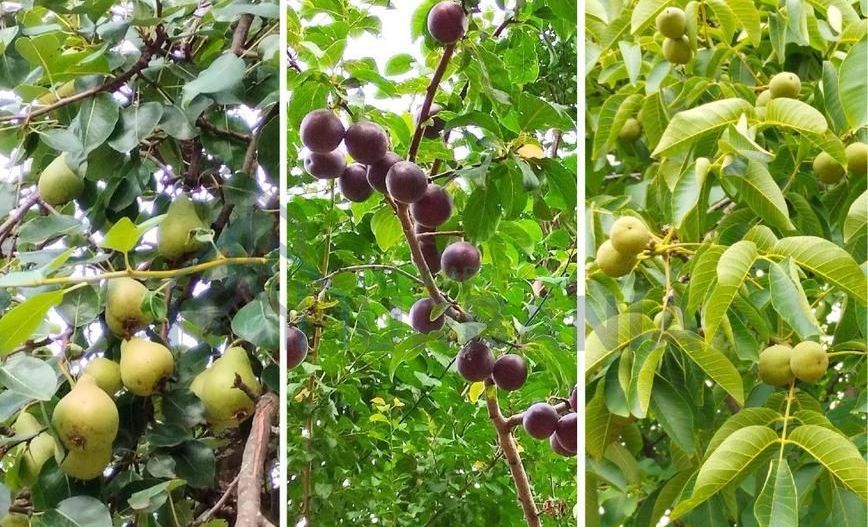 🏡 Casă de vânzare – 106 mp utili, teren 2700 mp – capăt Copou, Iași - Poză 3