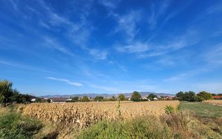 Te vanzare teren intravilan 2097mp, cu utilitati, Oarda de Jos - Poză 3