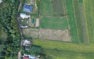 Teren intravilan 4.000 mp Blăgești, Bacău - Poză 4