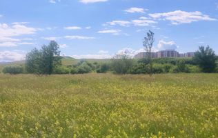 TEREN DE VÂNZARE 1000 MP ȘELIMBĂR ZONA TROIȚĂ | INVESTIȚIE