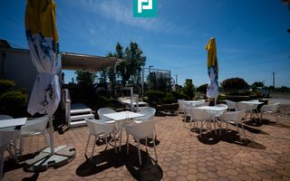 Business la cheie și 25.000 mp teren Arad-Oradea - Poză 17