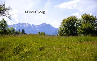 Teren intravilan plat in Bran, 1000 mp, vedere către Bucegi, utilitati - Poză 3