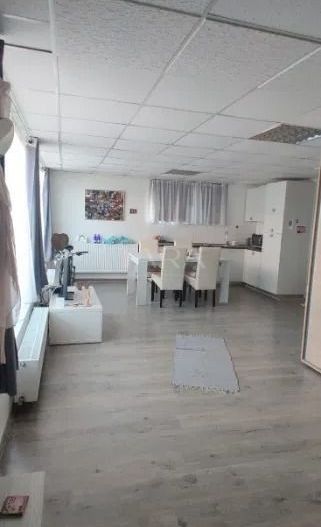 Investiție activă – 2 unități închiriate, zona Europa - Poză 3