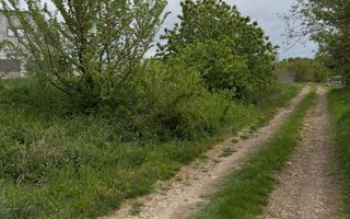 Teren de vanzare strada Prunilor Oradea - Poză 10