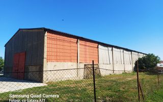 Hala ideala pentru depozitare str.Santaului - Poză 2