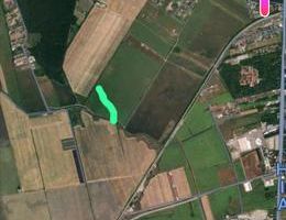 Coreanca  8000 mp intravilan - Poză 3