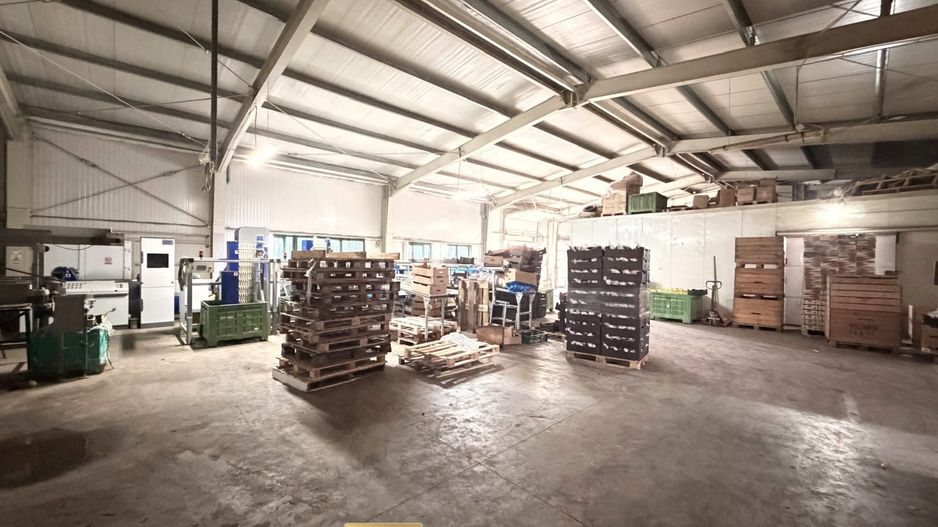 Hala industrială de vanzare Arad 540 mp, depozitare la rece, acces TIR - Poză 5
