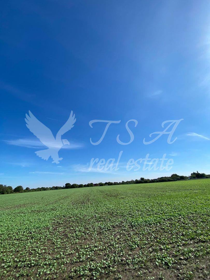 Teren Intravilan 825mp Cu dubla deschidere si Drum de servitute, Dascalu  Ilfov - Poză 4