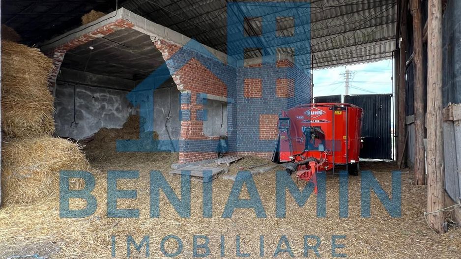 60.000mp Ferma de bovine, păsări, porcine, culturi agricole Diverse - Poză 5