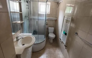 Casă cu destinație multiplă _ curte generoasă- Bălcescu - Poză 11