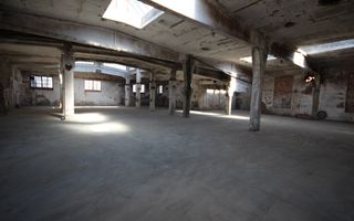 Complex industrial Periam - Poză 15