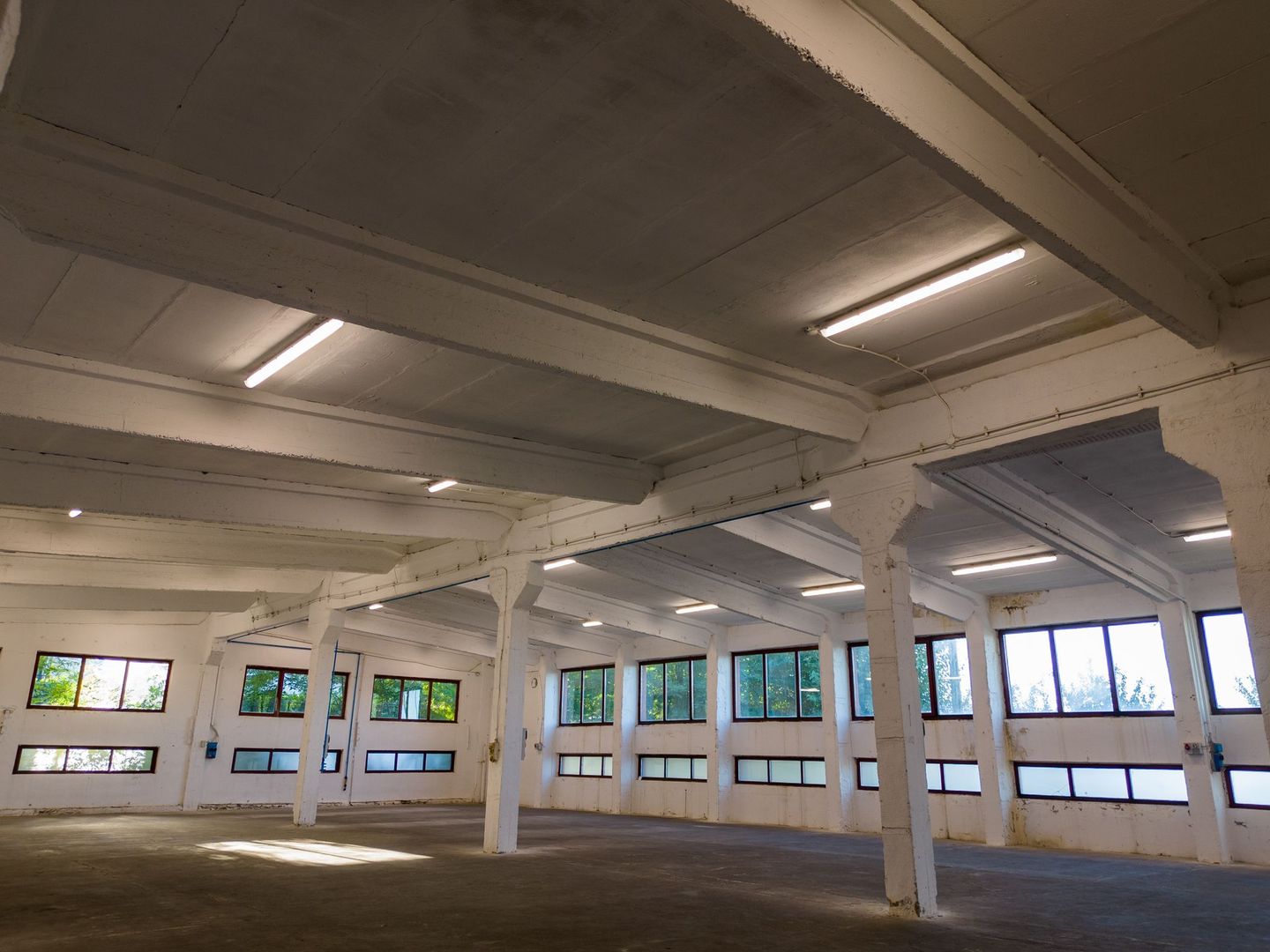 Hală industrială cu multiple destinații în Nădlac - Poză 31