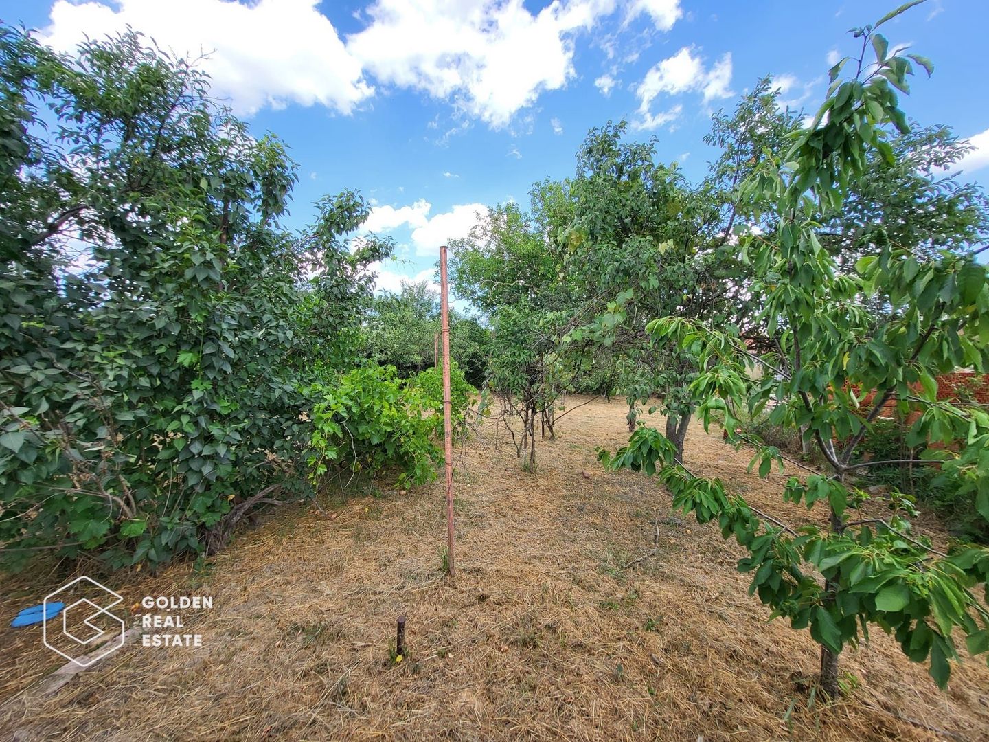 Casa P+M, sat Neudorf - Poză 24