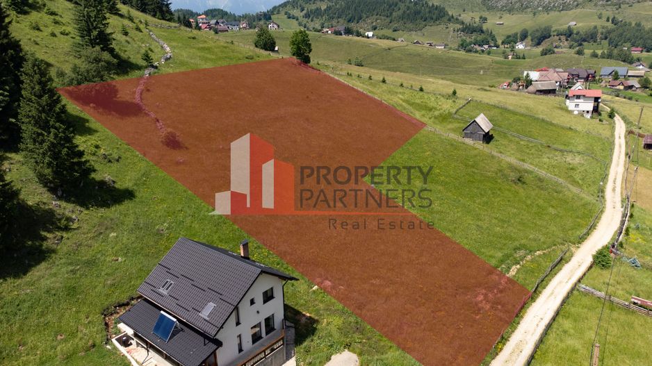 Teren Fundatica intravilan 4500 mp - Poză 2