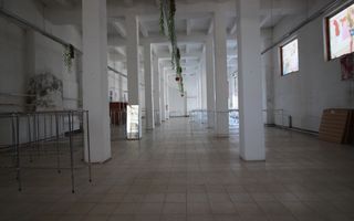 Spatiu comercial tip hala - zona semicentrala - Poză 14