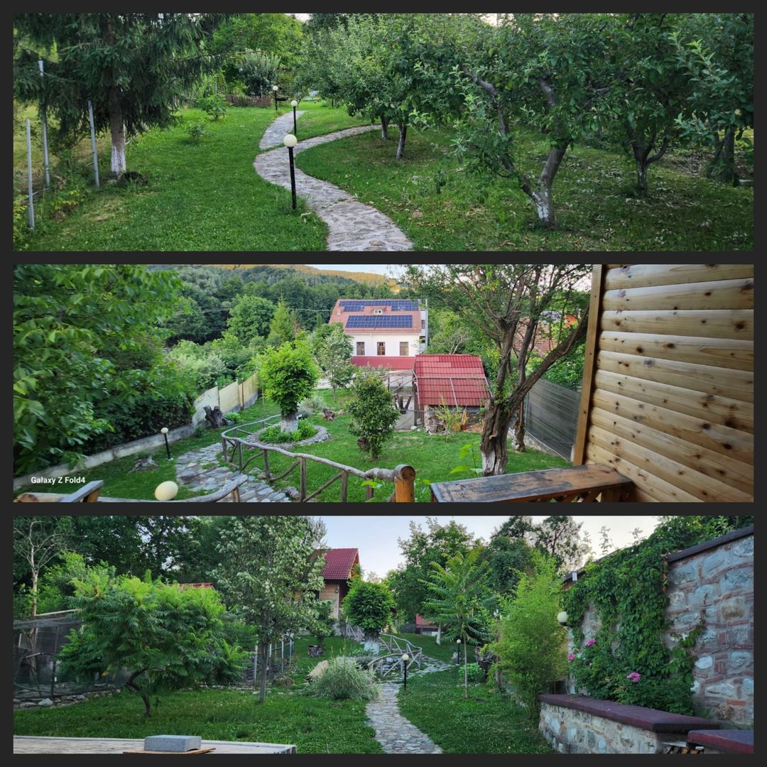 Vila Horezu Romanii de Jos - Poză 18