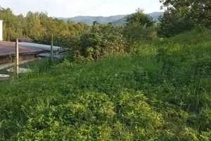 Teren intravilan 1000 mp | Cisnădioara-Sibiu| P+1+M | Utilități | - Poză 1