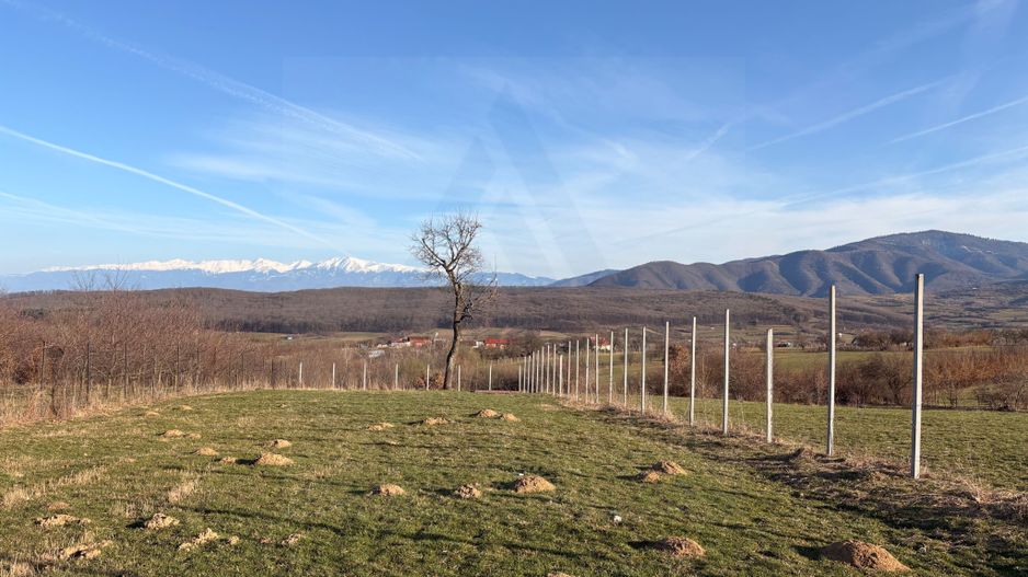 Teren intravilan 809 mp de vânzare – Tropinii Noi-Sibiu - Poză 4