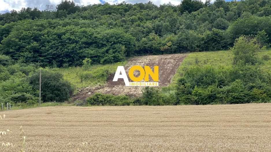 Teren sub padure cu o priveliste deosebita, 1500mp - Poză 2