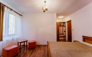 Domeniu în satul Căprioara - Poză 78