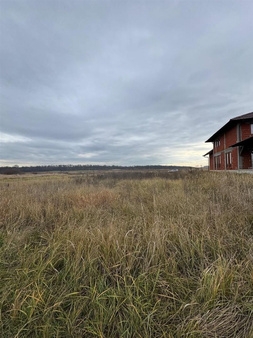 Teren intravilan Sanmartin 720 mpï¿½ - Poză 2