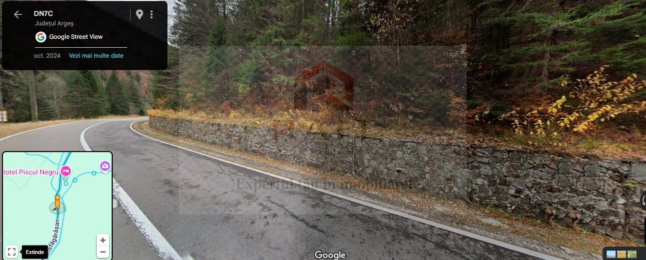 TEREN EXTRAVILAN PADURE PISCUL NEGRU ARGES - Poză 4