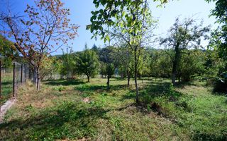 Proprietate deosebita cu doua case si teren generos – Cosesti, Arges - Poză 9