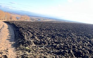 Teren I Suceava I Moara Nica I 2500 Mp I 54.900 Euro - Poză 7