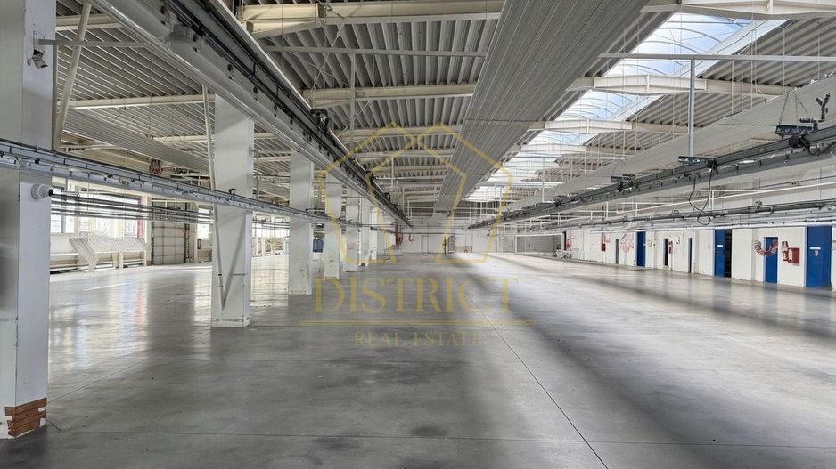 Hala industriala 4.300mp | Sagului | Timisoara | - Poză 10