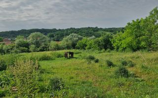 De vânzare Teren versatil 3.919 mp  in localitatea Armeni. Sibiu - Poză 8