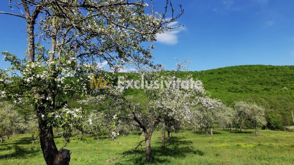Teren 680mp Budeasa Mica, AG - Poză 9